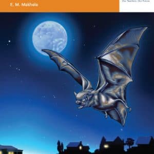 Via Afrika Setswana Home Language Grade 8 Novel: Dinwamadi