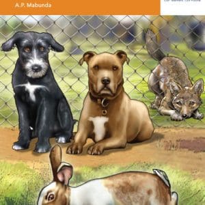 Via Afrika Xitsonga Home Language Grade 8 Novel: Timhaka thya!