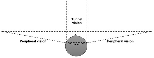 Taking charge of our bodies and minds