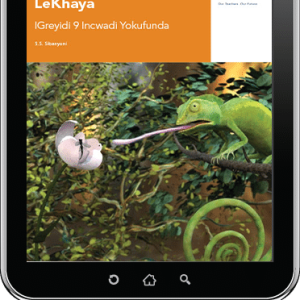 Via Afrika isiNdebele Home Language Grade 9 Reader (PDF)