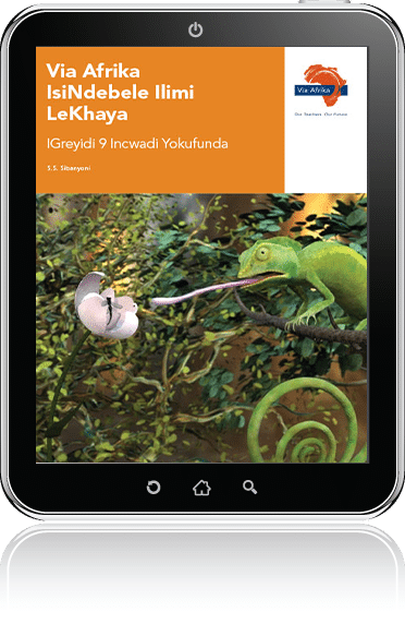 Via Afrika isiNdebele Home Language Grade 9 Reader (PDF)