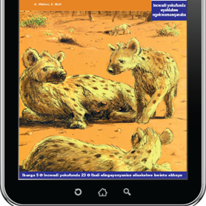 eBook (ePDF): Via Afrika isiXhosa Home Language Intermediate Phase Graded Reader 23: UHera noHarry, iingcuka esingqoqo