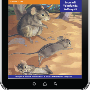 eBook (ePDF): Via Afrika isiNdebele Home Language Intermediate Phase Graded Reader 11: UNtongomani nebululu