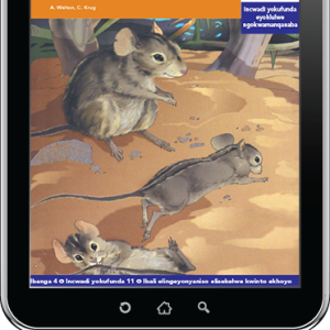 eBook (ePDF): Via Afrika isiXhosa Home Language Intermediate Phase Graded Reader 11: Untongomane nerhamba