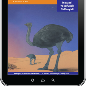 eBook (ePDF): Via Afrika isiNdebele Home Language Intermediate Phase Graded Reader 17: Iinciliba zommango zeendunduma zerhalawumba