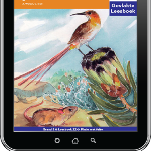 e-Boek (e-PDF): Via Afrika Afrikaans Huistaal Intermediêre Fase Gevlakte Leesboek 22: Speldekussings in gevaar!