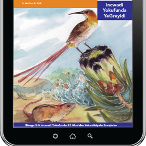 eBook (ePDF): Via Afrika isiNdebele Home Language Intermediate Phase Graded Reader 22: Ama-pincushion asengozini yokulimala