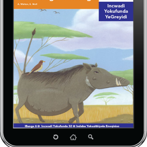 eBook (ePDF): Via Afrika isiNdebele Home Language Intermediate Phase Graded Reader 32: Umndeni omuhle weemfarigi zommango