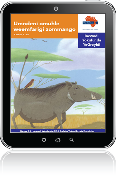 eBook (ePDF): Via Afrika isiNdebele Home Language Intermediate Phase Graded Reader 32: Umndeni omuhle weemfarigi zommango