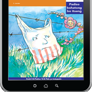 eBook (ePDF): Via Afrika Sesotho Home Language Intermediate Phase Graded Reader 16: Ntho e fenseng