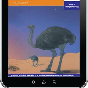 eBook (ePDF): Via Afrika Setswana Home Language Intermediate Phase Graded Reader 17: Ntšhwe ya naga ya dithotana tsa motlhaba tsa sekaka