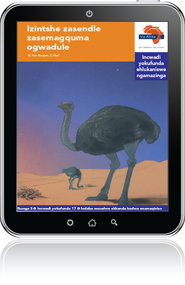 eBook (ePDF): Via Afrika isiZulu Home Language Intermediate Phase Graded Reader 17: Izintshe zasendle zasemagquma ogwadule