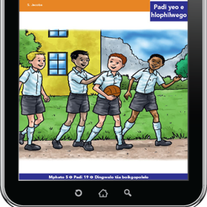 eBook (ePDF): Via Afrika Sepedi Home Language Intermediate Phase Graded Reader 19: Bagwera