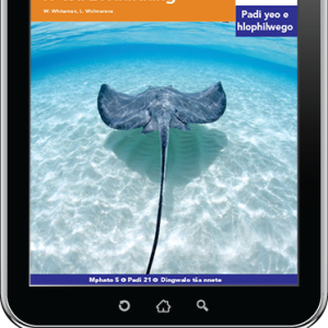 eBook (ePDF): Via Afrika Sepedi Home Language Intermediate Phase Graded Reader 21: Dinonyana tša Lewatle le tša Lefaufaung