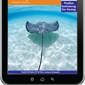 eBook (ePDF): Via Afrika Sesotho Home Language Intermediate Phase Graded Reader 21: Diphoofolo tsa Lewatleng le tsa Moeeng