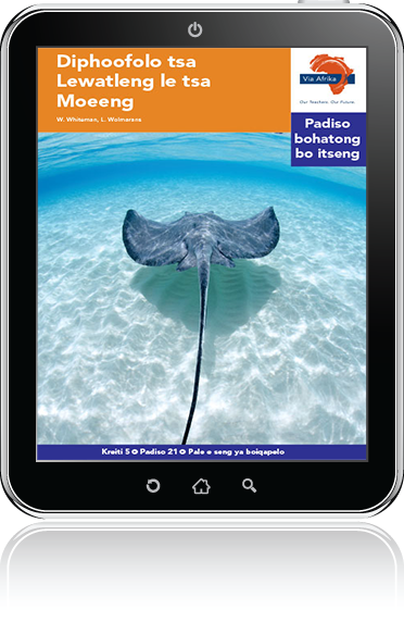 eBook (ePDF): Via Afrika Sesotho Home Language Intermediate Phase Graded Reader 21: Diphoofolo tsa Lewatleng le tsa Moeeng