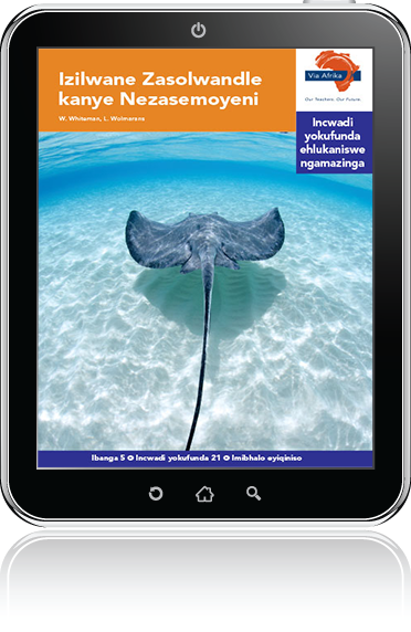 eBook (ePDF): Via Afrika isiZulu Home Language Intermediate Phase Graded Reader 21: Izilwane Zasolwandle kanye Nezasemoyeni