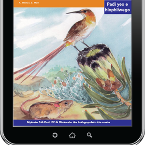 eBook (ePDF): Via Afrika Sepedi Home Language Intermediate Phase Graded Reader 22: Diphinkhwišene di kotsing e kgolo