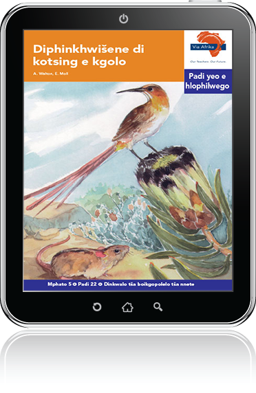 eBook (ePDF): Via Afrika Sepedi Home Language Intermediate Phase Graded Reader 22: Diphinkhwišene di kotsing e kgolo