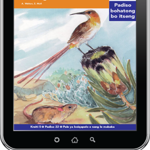 eBook (ePDF): Via Afrika Sesotho Home Language Intermediate Phase Graded Reader 22: Dipalesa tsa diphinkhushini di kotsing