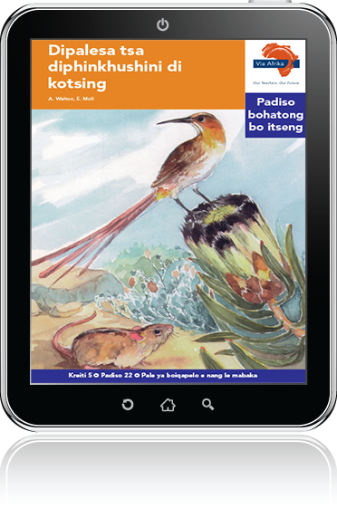 eBook (ePDF): Via Afrika Sesotho Home Language Intermediate Phase Graded Reader 22: Dipalesa tsa diphinkhushini di kotsing