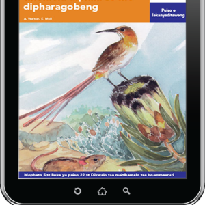 eBook (ePDF): Via Afrika Setswana Home Language Intermediate Phase Graded Reader 22: Semela se se tshwanang le mosamonyana wa go tlhomela diphini se mo dipharagobeng