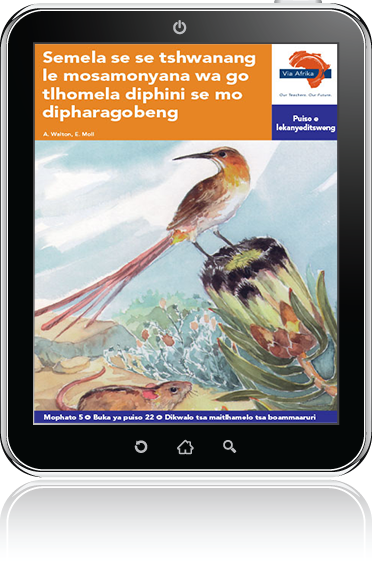 eBook (ePDF): Via Afrika Setswana Home Language Intermediate Phase Graded Reader 22: Semela se se tshwanang le mosamonyana wa go tlhomela diphini se mo dipharagobeng