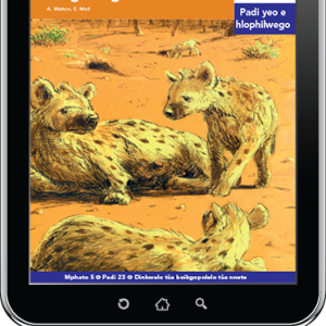 eBook (ePDF): Via Afrika Sepedi Home Language Intermediate Phase Graded Reader 23: Hera le Heri, diphiri tša marothontho tša sekgweng