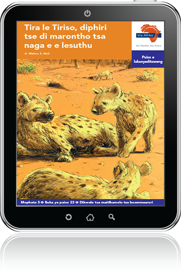 eBook (ePDF): Via Afrika Setswana Home Language Intermediate Phase Graded Reader 23: Tira le Tiriso, diphiri tse di marontho tsa naga e e lesuthu