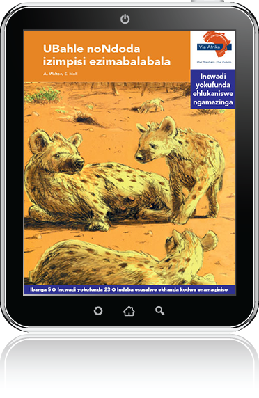 eBook (ePDF): Via Afrika isiZulu Home Language Intermediate Phase Graded Reader 23: UBahle noNdoda izimpisi ezimabalabala