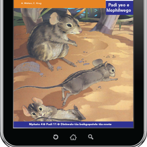 eBook (ePDF): Via Afrika Sepedi Home Language Intermediate Phase Graded Reader 11: Letokomane le Marabe