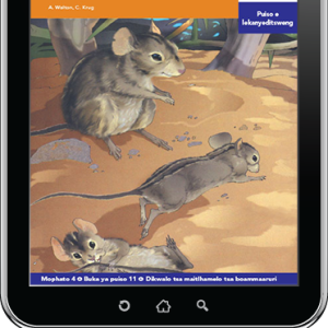 eBook (ePDF): Via Afrika Setswana Home Language Intermediate Phase Graded Reader 11: Paledi le lebolobolo