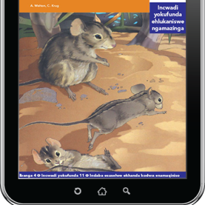 eBook (ePDF): Via Afrika isiZulu Home Language Intermediate Phase Graded Reader 11: UKinati nebululu