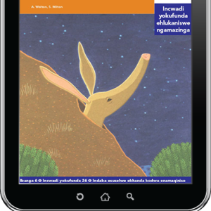 eBook (ePDF): Via Afrika isiZulu Home Language Intermediate Phase Graded Reader 26: Umhlaba omatasatasa