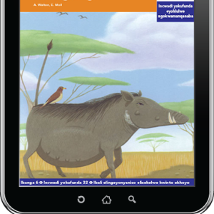 eBook (ePDF): Via Afrika isiXhosa Home Language Intermediate Phase Graded Reader 32: Usapho olulungileyo lweengxangu