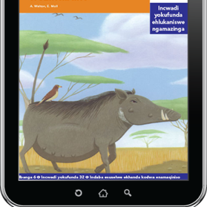 eBook (ePDF): Via Afrika isiZulu Home Language Intermediate Phase Graded Reader 32: Umndeni omuhle wezintibane