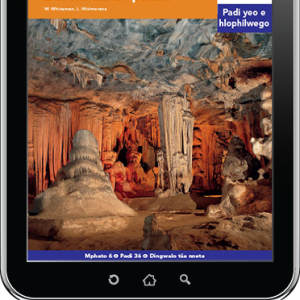 eBook (ePDF): Via Afrika Sepedi Home Language Intermediate Phase Graded Reader 36: Go ralala le Afrika Borwa ka Bophara