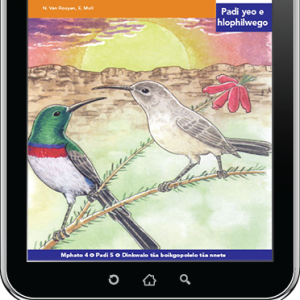 eBook (ePDF): Via Afrika Sepedi Home Language Intermediate Phase Graded Reader 5: Seipati o phologa ka lešoba la nalete