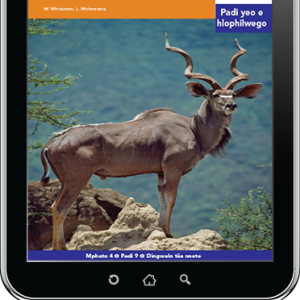 eBook (ePDF): Via Afrika Sepedi Home Language Intermediate Phase Graded Reader 9: Diphoofolo tša Lešoka