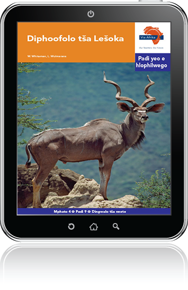 eBook (ePDF): Via Afrika Sepedi Home Language Intermediate Phase Graded Reader 9: Diphoofolo tša Lešoka
