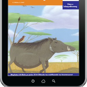 eBook (ePDF): Via Afrika Setswana Home Language Intermediate Phase Graded Reader 32: Lelapa le le molemo la dikolobe tsa naga