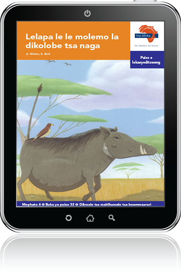 eBook (ePDF): Via Afrika Setswana Home Language Intermediate Phase Graded Reader 32: Lelapa le le molemo la dikolobe tsa naga