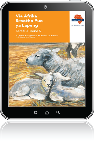eBook (ePDF): Via Afrika Sesotho Home Language Grade 3 Reader 5