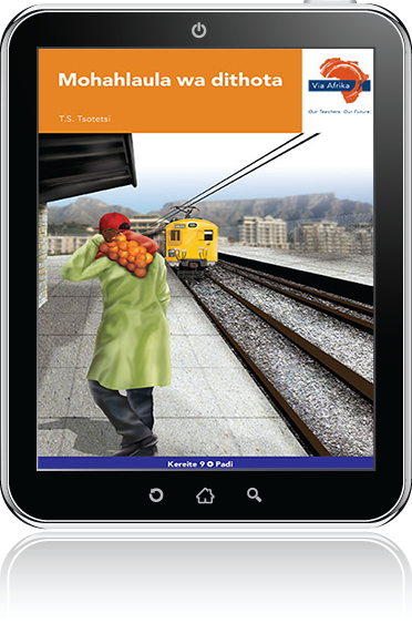 eBook (ePDF): Via Afrika Sesotho Home Language Grade 9 Novel: Mohahlaula wa dithota