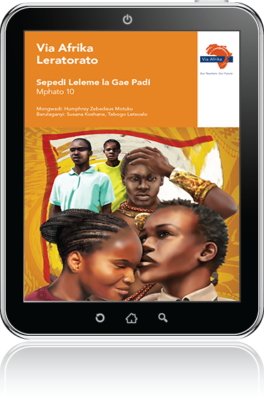 eBook (ePDF): Via Afrika Sepedi Home Language Grade 10 Novel: Leratorato
