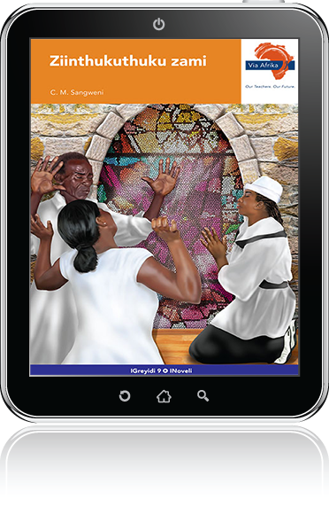 eBook (ePDF): Via Afrika isiNdebele Home Language Grade 9 Novel: Ziinthukuthuku zami